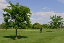 GOLF-ACADEMIE-longeville-les-metz-photo-parcours